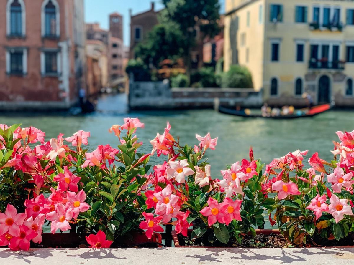 Ca' Dei Cuori On The Grand Canal Venedig Exteriör bild